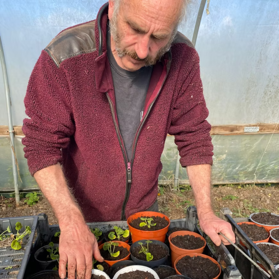 Untitled design (23)