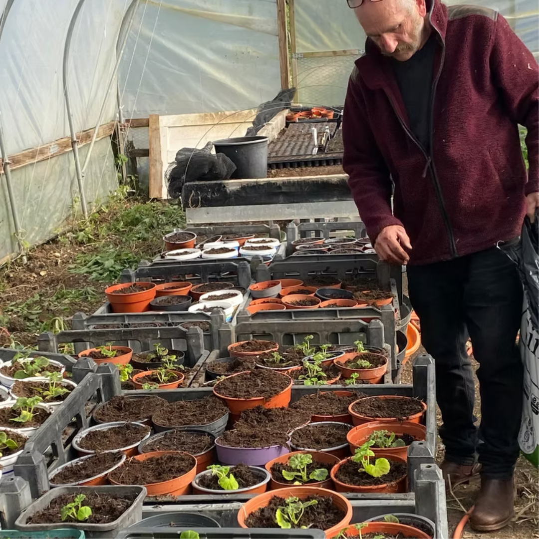 Untitled design (27)