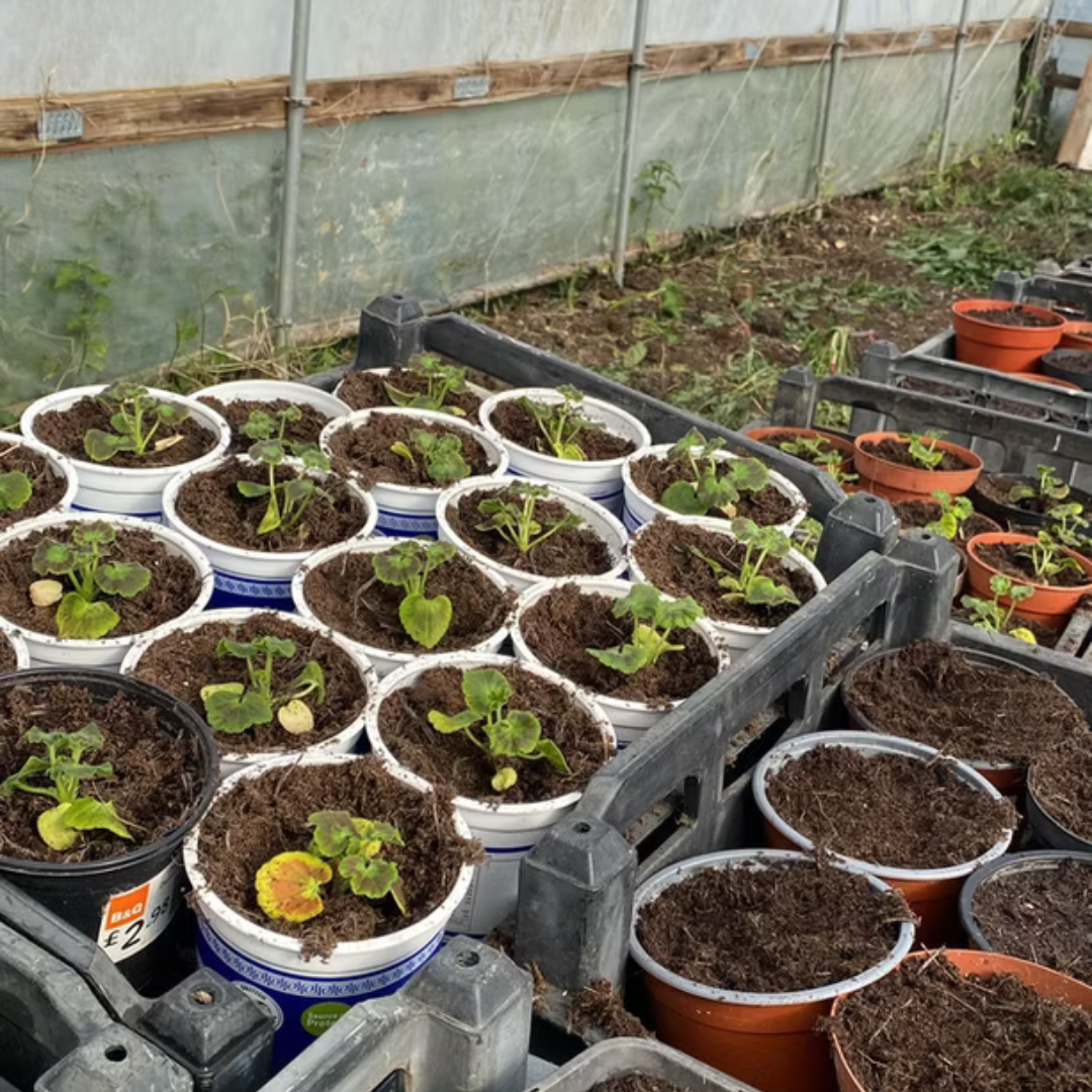 Untitled design (28)